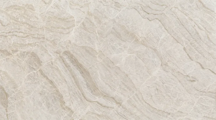 Taj Mahal HMS0025 — HMS0025 · Texture reference